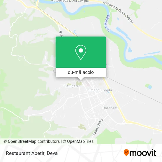 Hartă Restaurant Apetit