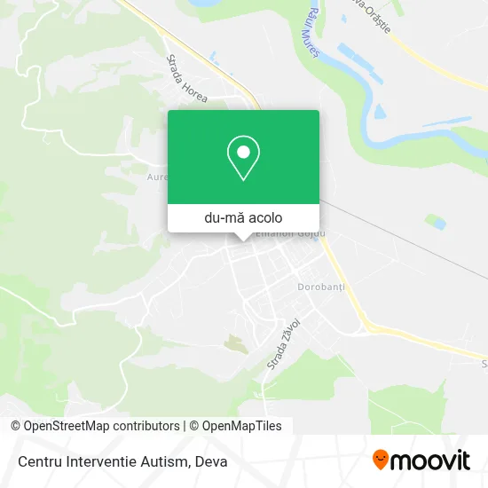 Hartă Centru Interventie Autism