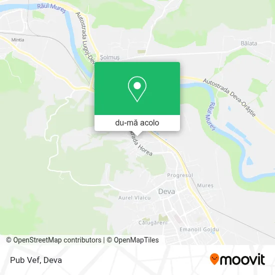 Hartă Pub Vef