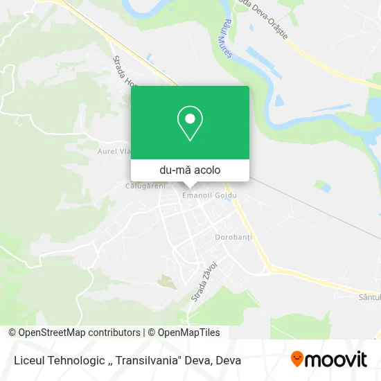 Hartă Liceul Tehnologic ,, Transilvania" Deva