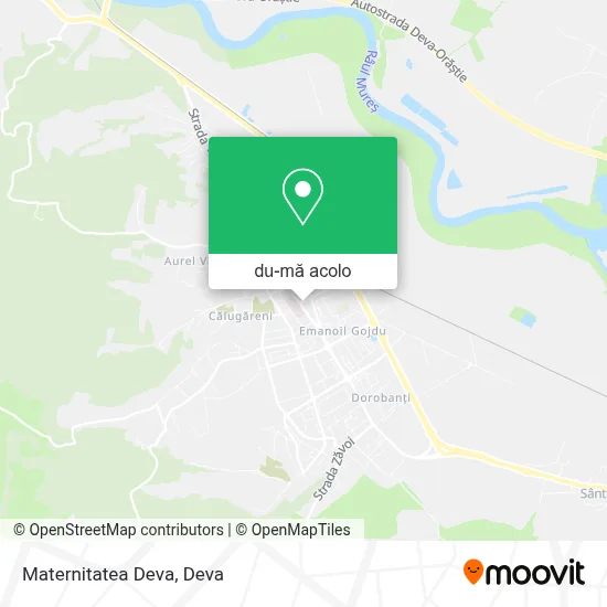 Hartă Maternitatea Deva