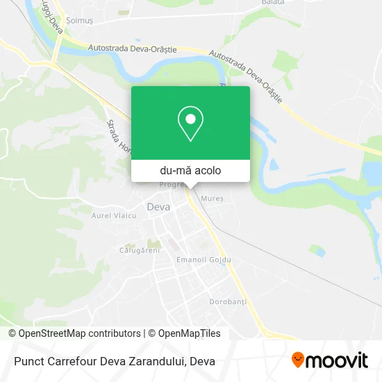 Hartă Punct Carrefour Deva Zarandului