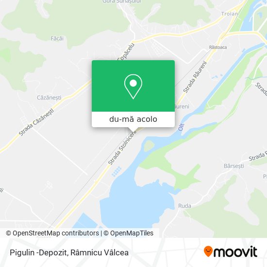 Hartă Pigulin -Depozit