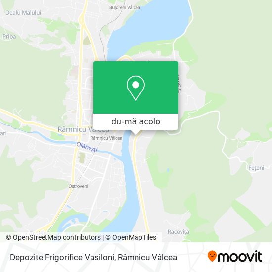 Hartă Depozite Frigorifice Vasiloni