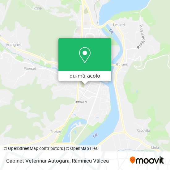 Hartă Cabinet Veterinar Autogara