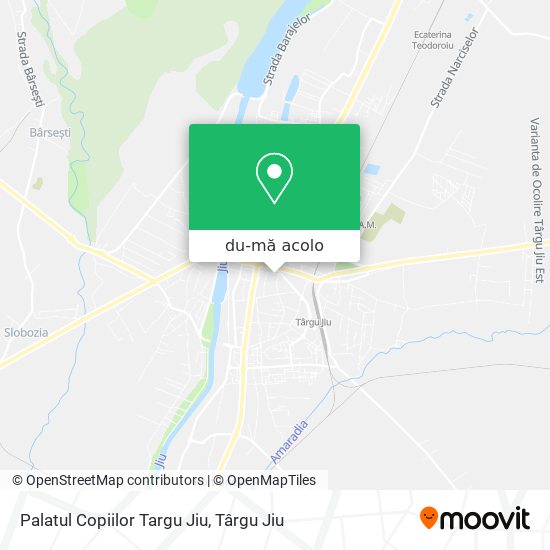 Hartă Palatul Copiilor Targu Jiu