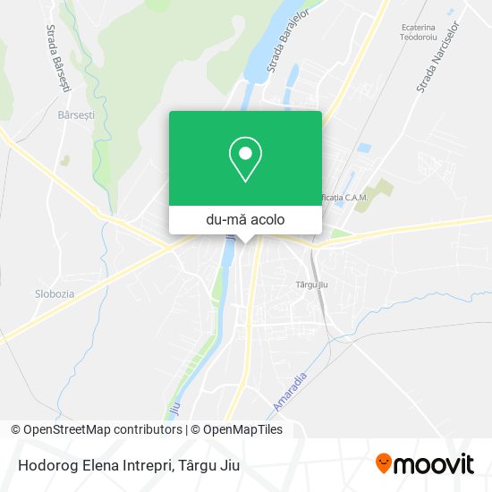 Hartă Hodorog Elena Intrepri
