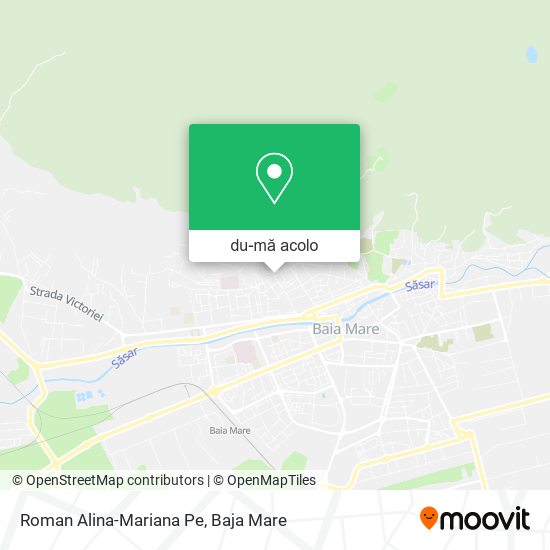 Hartă Roman Alina-Mariana Pe