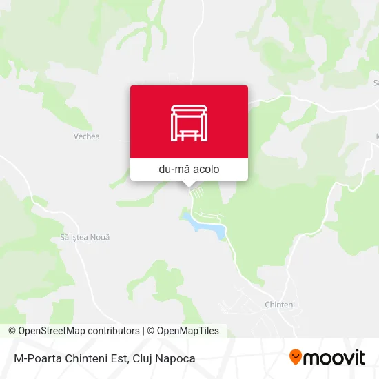 Hartă M-Poarta Chinteni Est