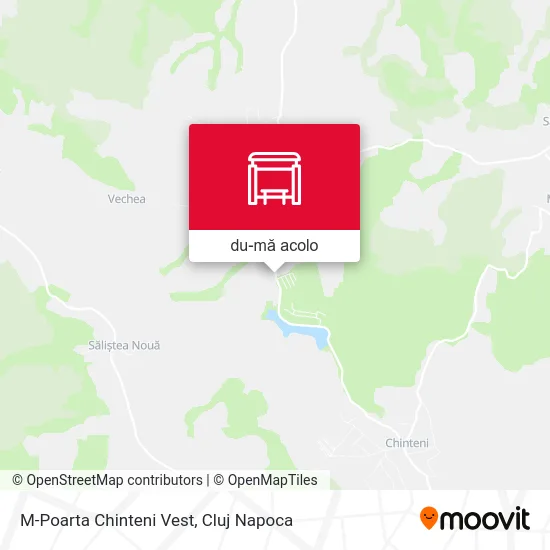 Hartă M-Poarta Chinteni Vest