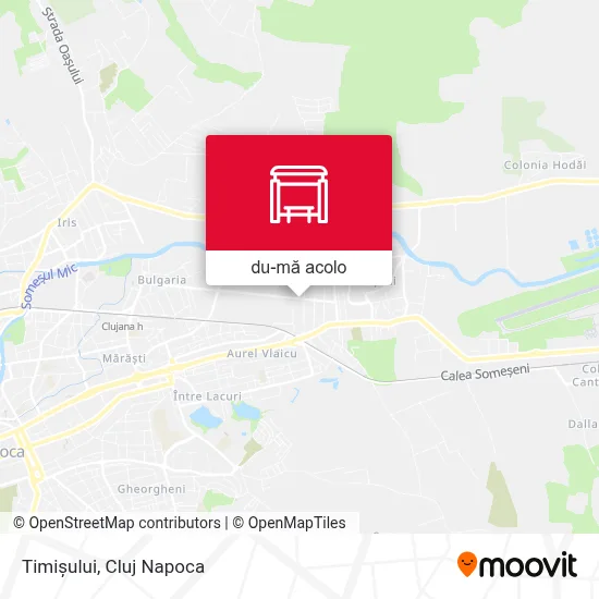 Hartă Timișului