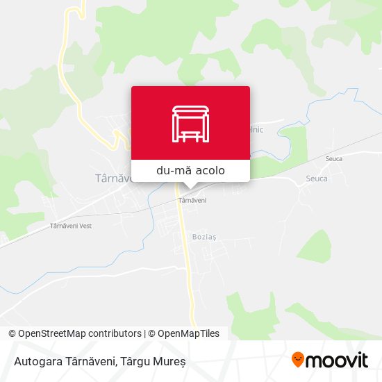 Hartă Autogara Târnăveni