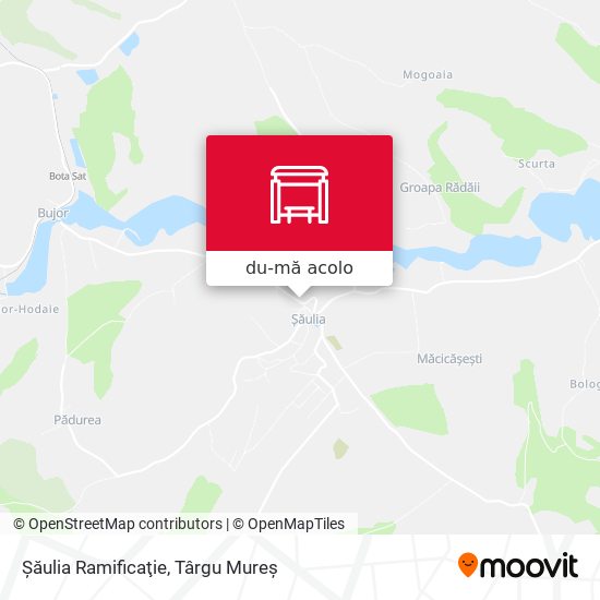 Hartă Şăulia Ramificaţie