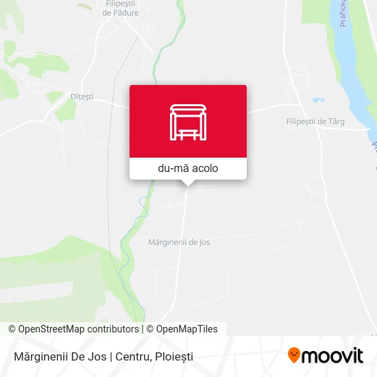 Hartă Mărginenii De Jos | Centru