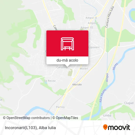 Hartă Incoronarii(L103)