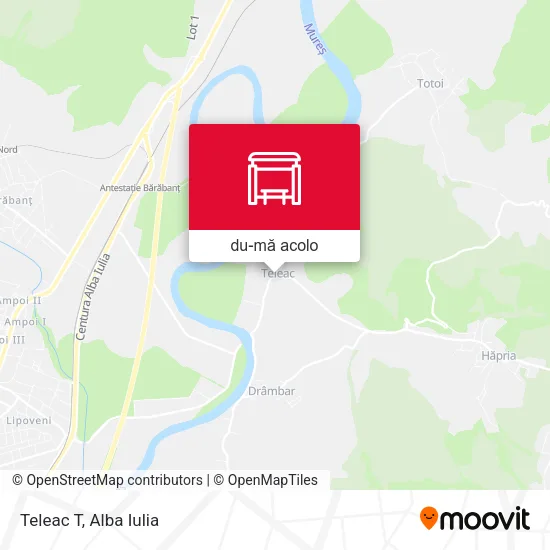 Hartă Teleac T