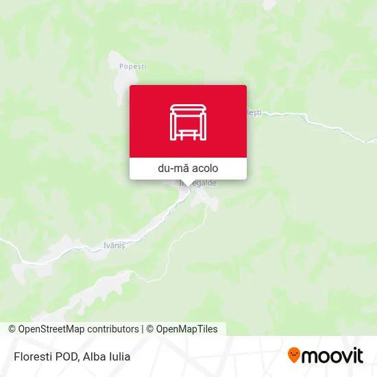 Hartă Floresti POD