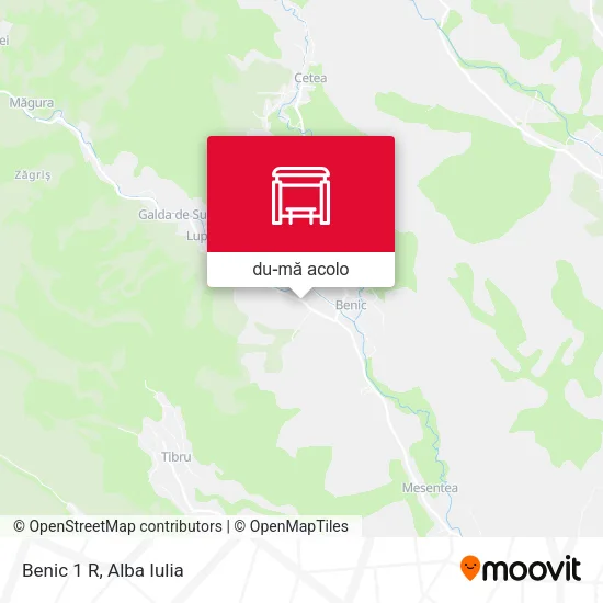 Hartă Benic 1 R