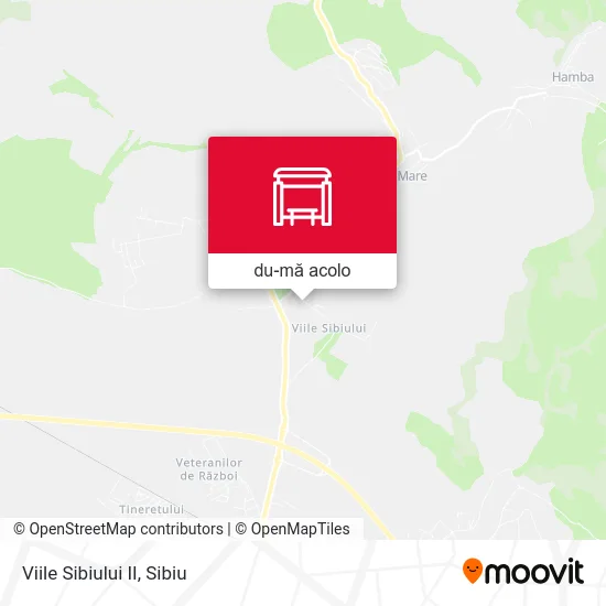 Hartă Viile Sibiului II