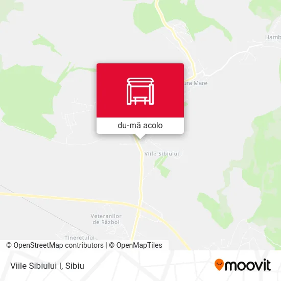 Hartă Viile Sibiului I