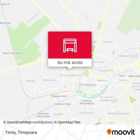 Hartă Timiș