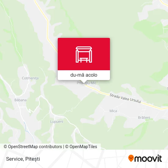 Hartă Service
