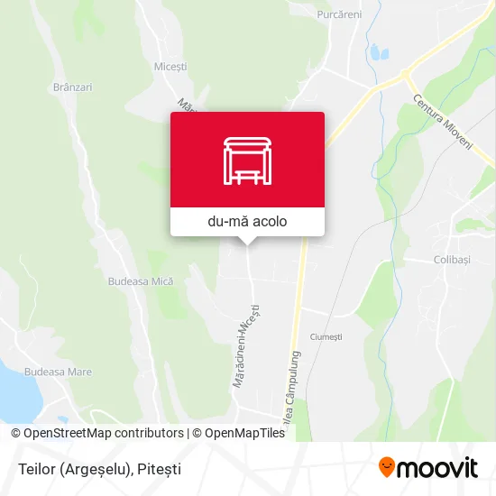 Hartă Teilor (Argeșelu)