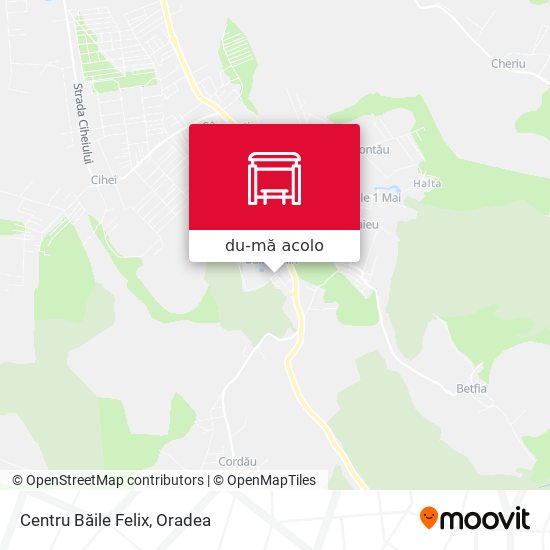 Hartă Centru Băile Felix