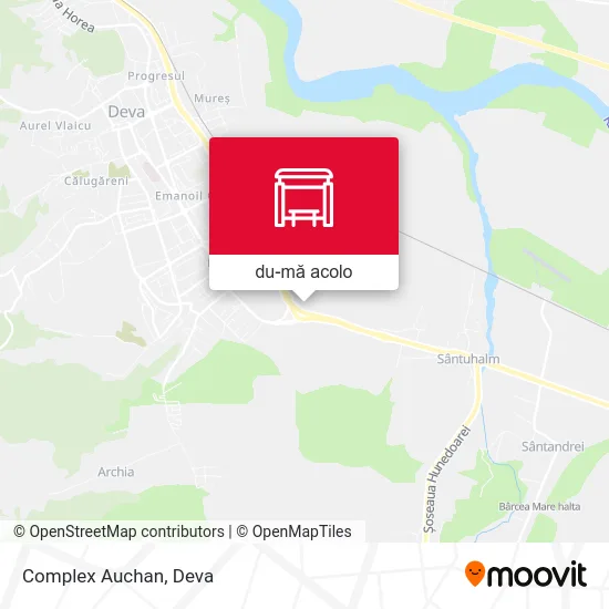 Hartă Complex Auchan
