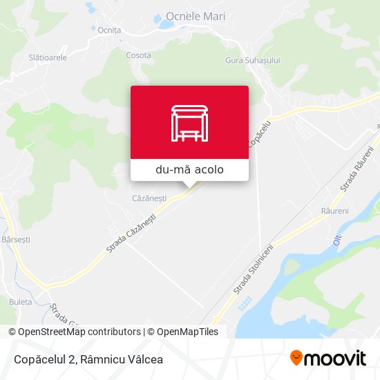 Hartă Copăcelul 2