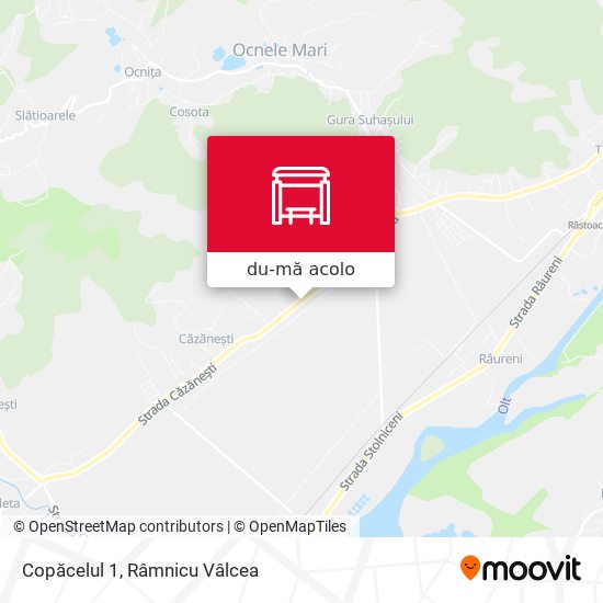 Hartă Copăcelul 1