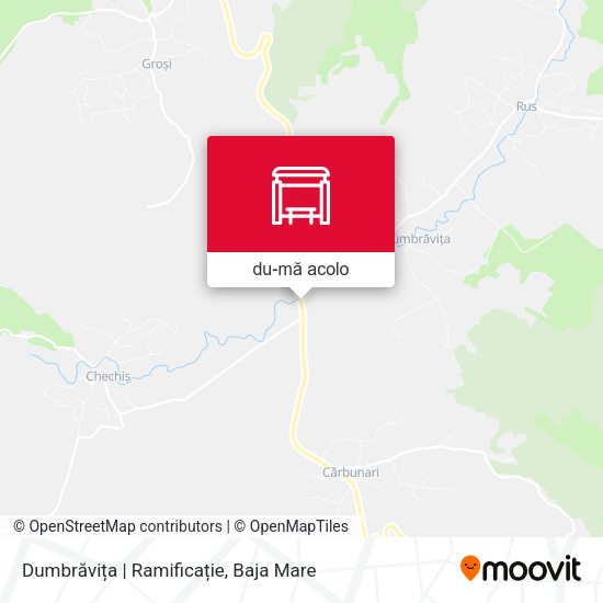 Hartă Dumbrăvița | Ramificație