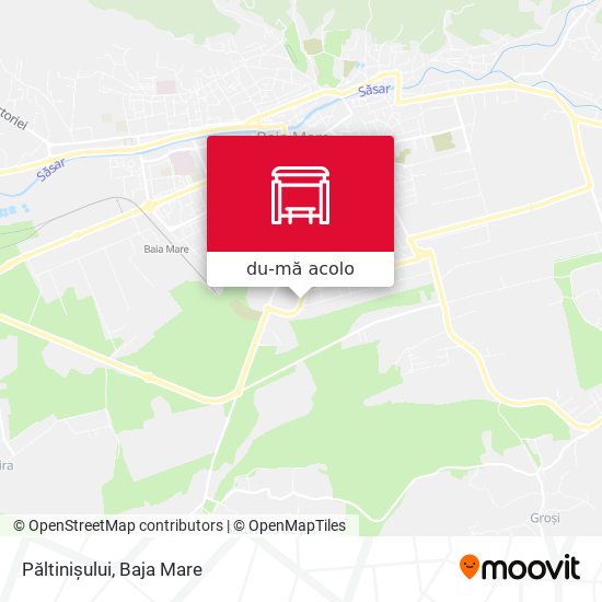 Hartă Păltinișului