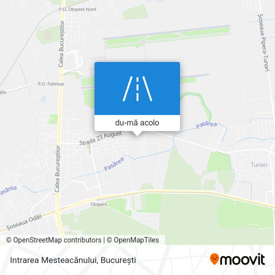Hartă Intrarea Mesteacănului