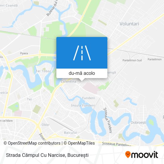 Hartă Strada Câmpul Cu Narcise