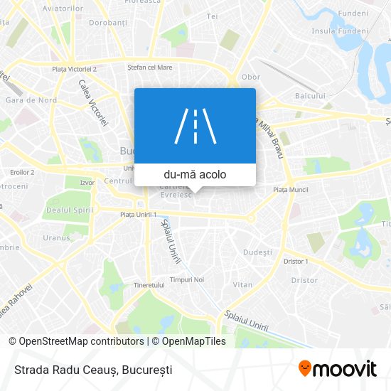 Hartă Strada Radu Ceauș