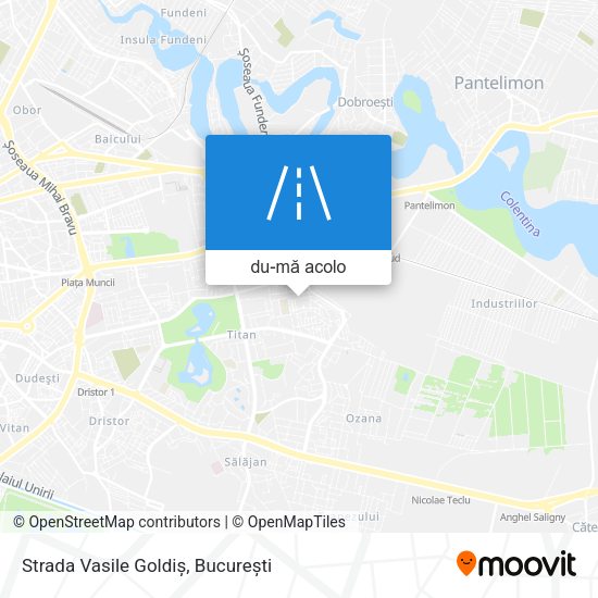 Hartă Strada Vasile Goldiș