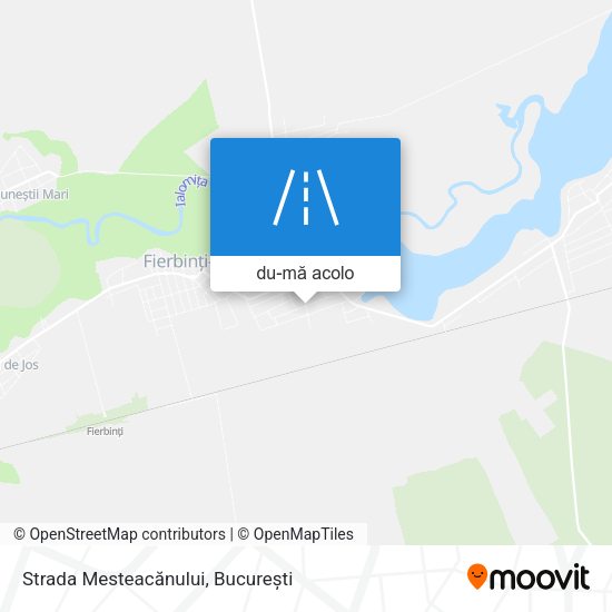 Hartă Strada Mesteacănului
