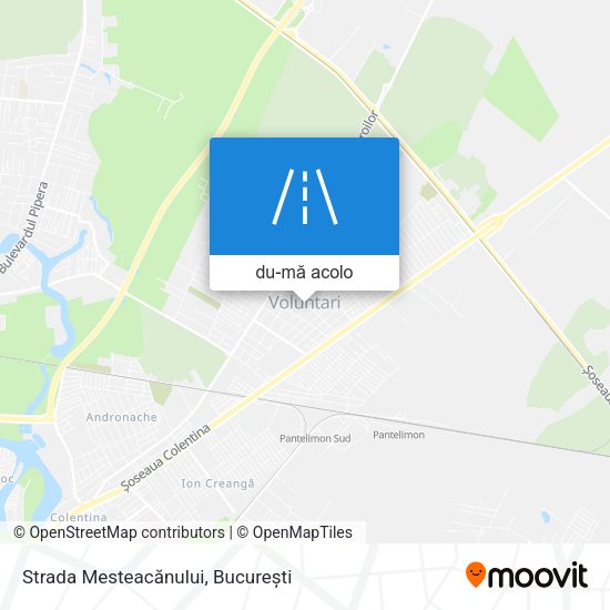 Hartă Strada Mesteacănului