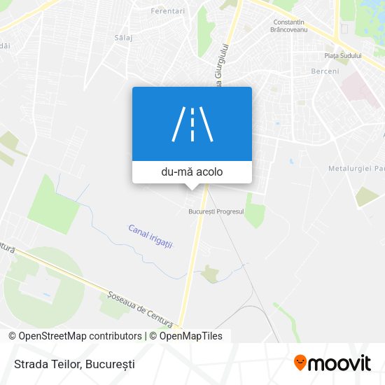 Hartă Strada Teilor