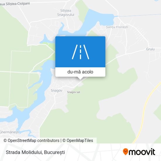 Hartă Strada Molidului