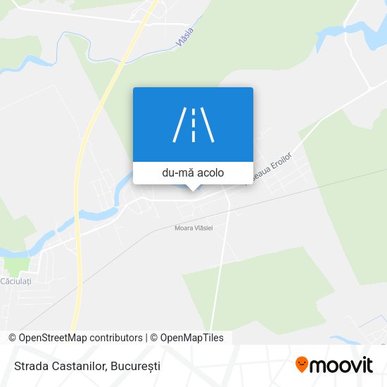 Hartă Strada Castanilor