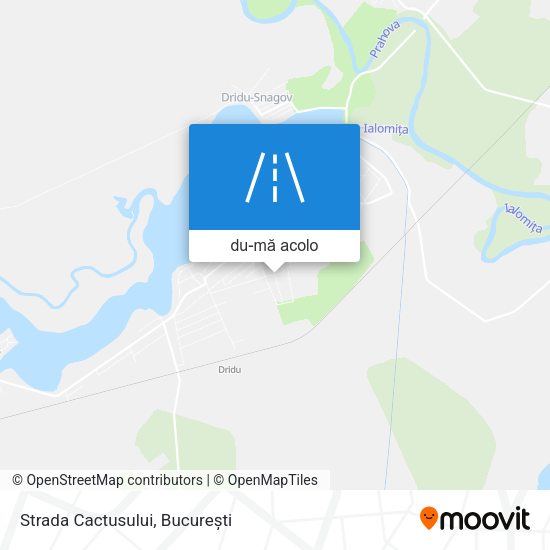 Hartă Strada Cactusului