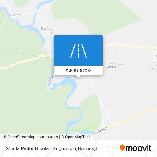 Hartă Strada Pictor Nicolae Grigorescu