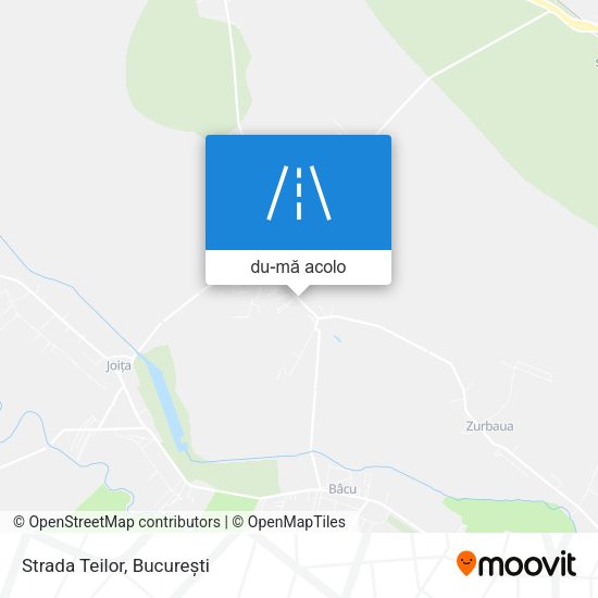 Hartă Strada Teilor