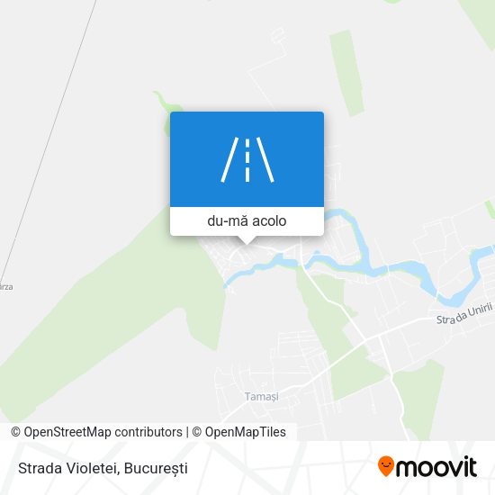 Hartă Strada Violetei