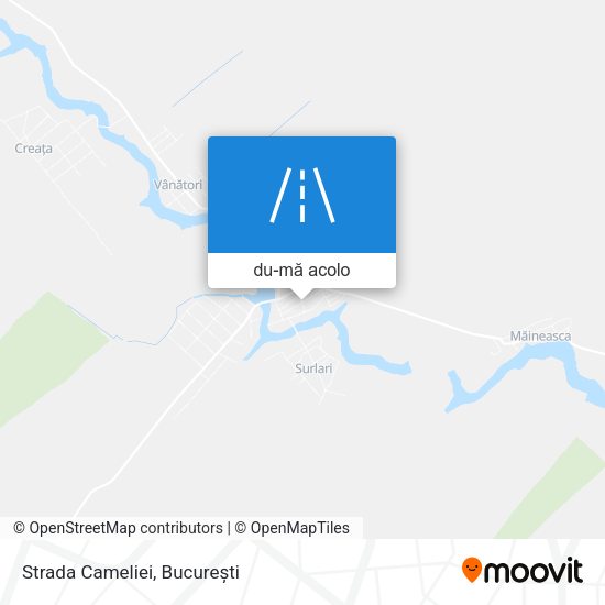 Hartă Strada Cameliei