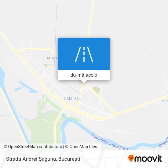 Hartă Strada Andrei Șaguna