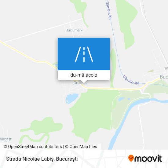 Hartă Strada Nicolae Labiș