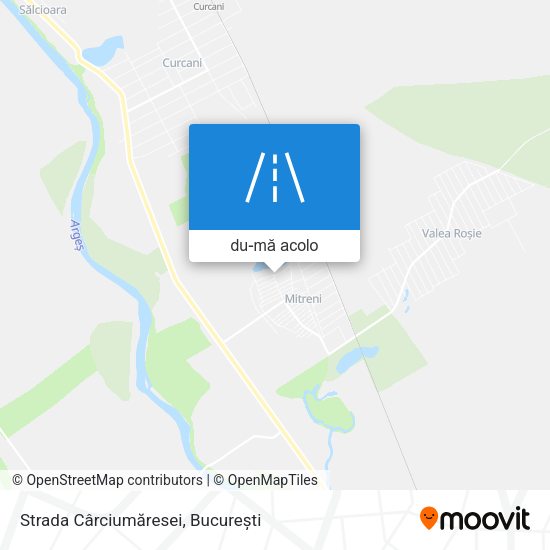 Hartă Strada Cârciumăresei